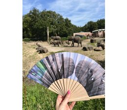 Ouwehand Fan Elephant