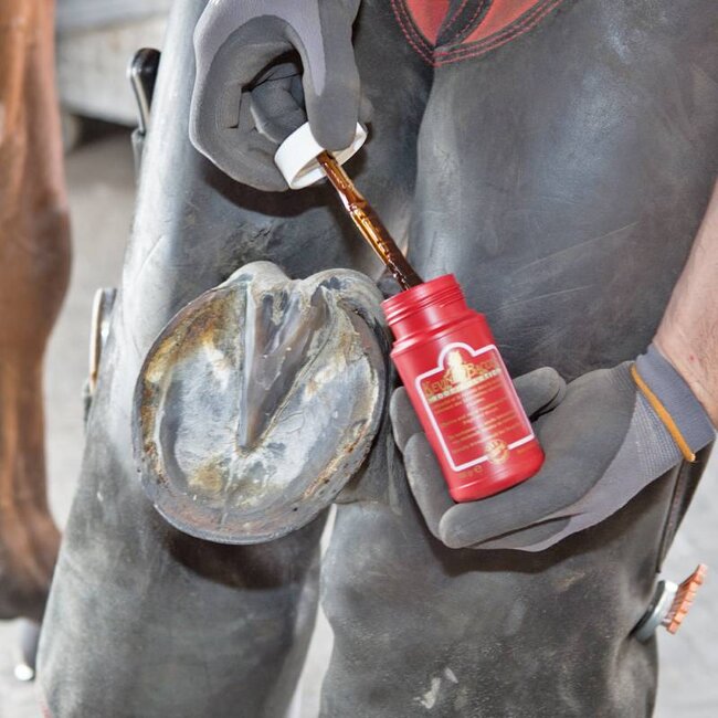 Kevin Bacon's Kevin Bacon's hoofsolution