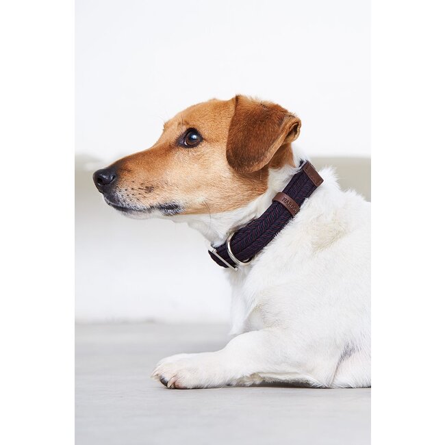 Harcour Harcour Joul Halsband Hond