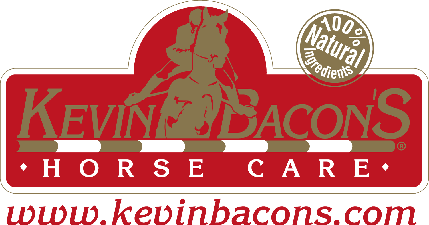 Kevin Bacon's