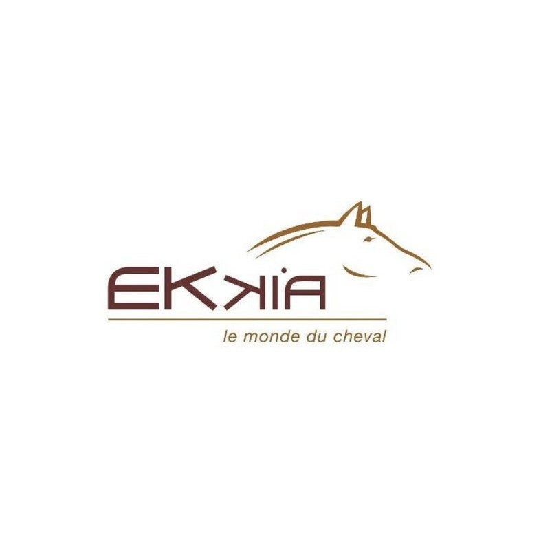 Ekkia