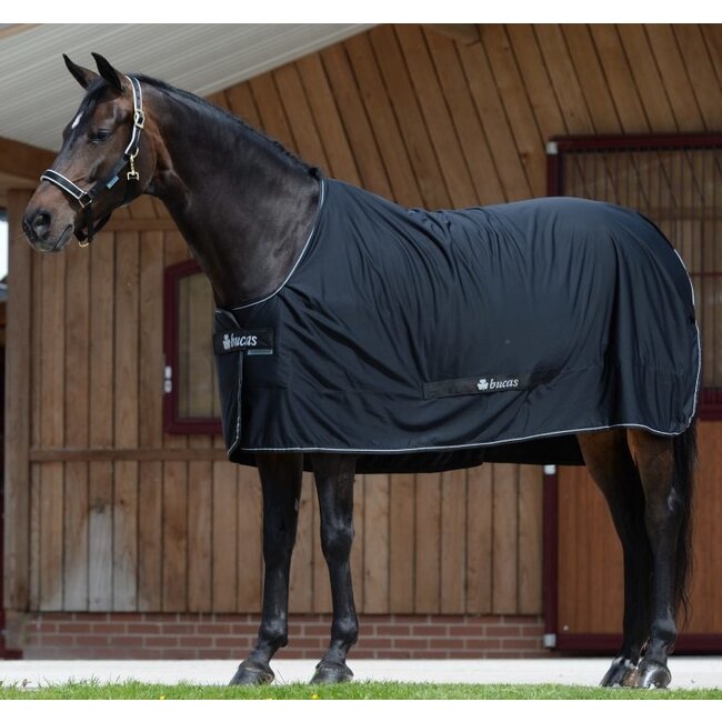 Bucas Bucas Shamrock Power