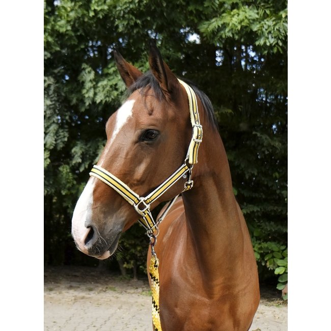 Equitheme Ekkia Tyrex Halster