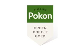 Pokon