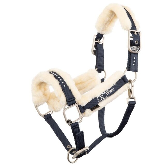 BR BR Halster 4-EH Pearl  Cob Plum