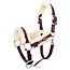 BR BR Halster 4-EH Pearl  Cob Plum
