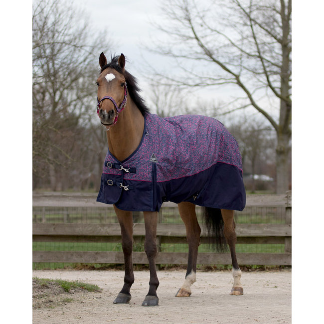 QHP QHP Halsterset met turnout Collection