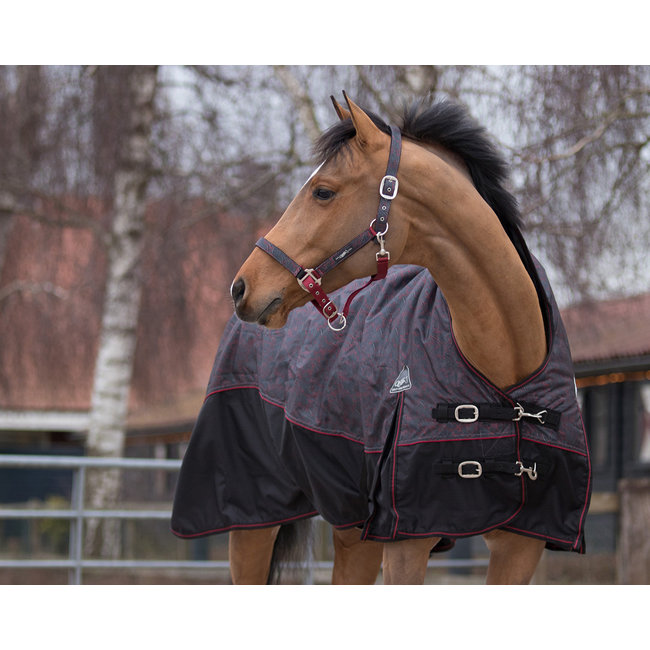 QHP QHP Halsterset met turnout Collection