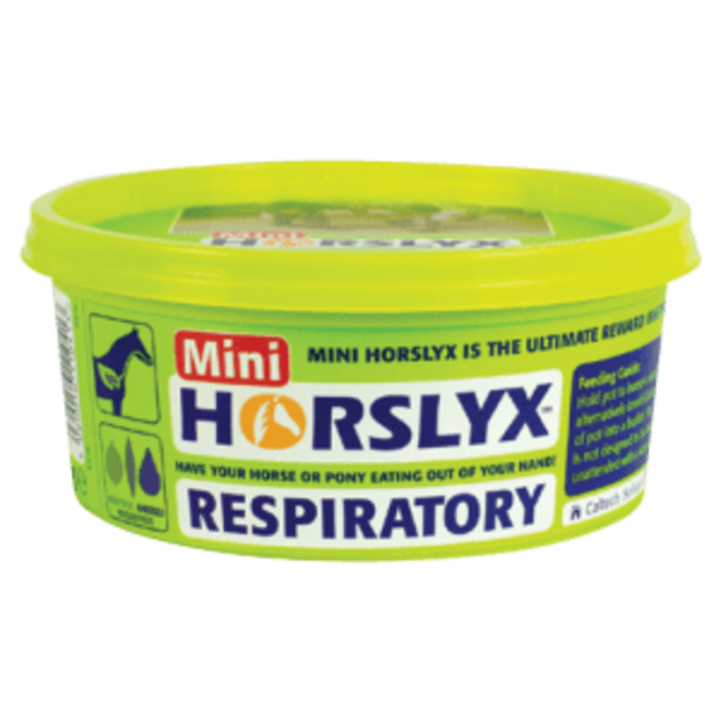 Horslyx Mini Horslyx 650 gram