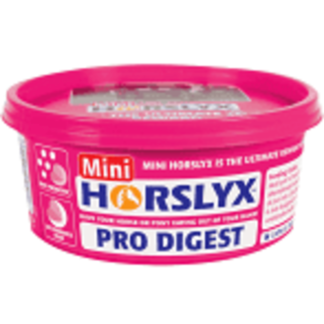 Horslyx Mini Horslyx 650 gram