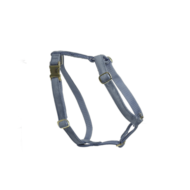 Kentucky Horsewear Kentucky Honden Harnas Loop XS