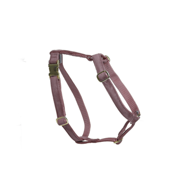 Kentucky Horsewear Kentucky Honden Harnas Loop XS