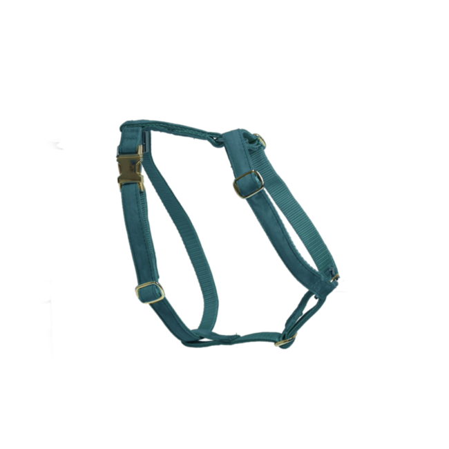 Kentucky Horsewear Kentucky Honden Harnas Loop S