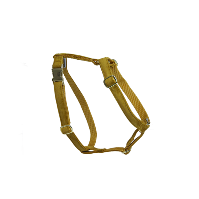 Kentucky Horsewear Kentucky Honden Harnas Loop M