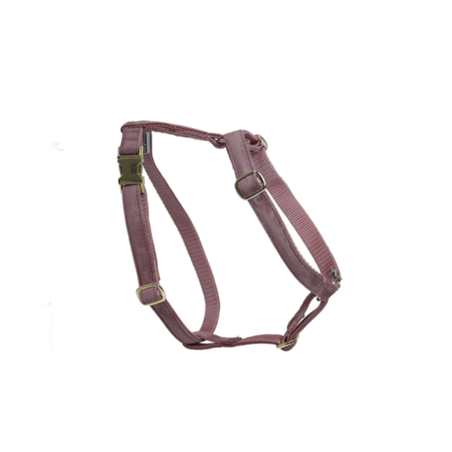 Kentucky Horsewear Kentucky Honden Harnas Loop L