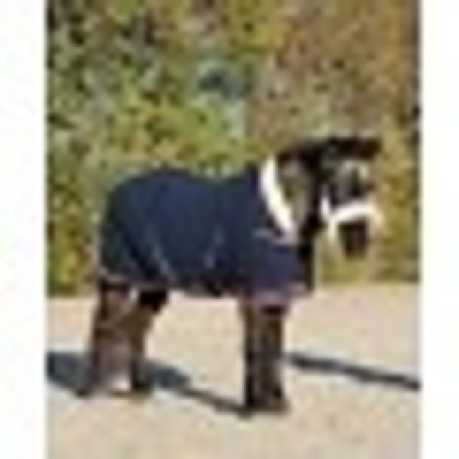 HB Ruitersport HB Showtime Harry and Hector Dutch Crown Little Sizes Deken