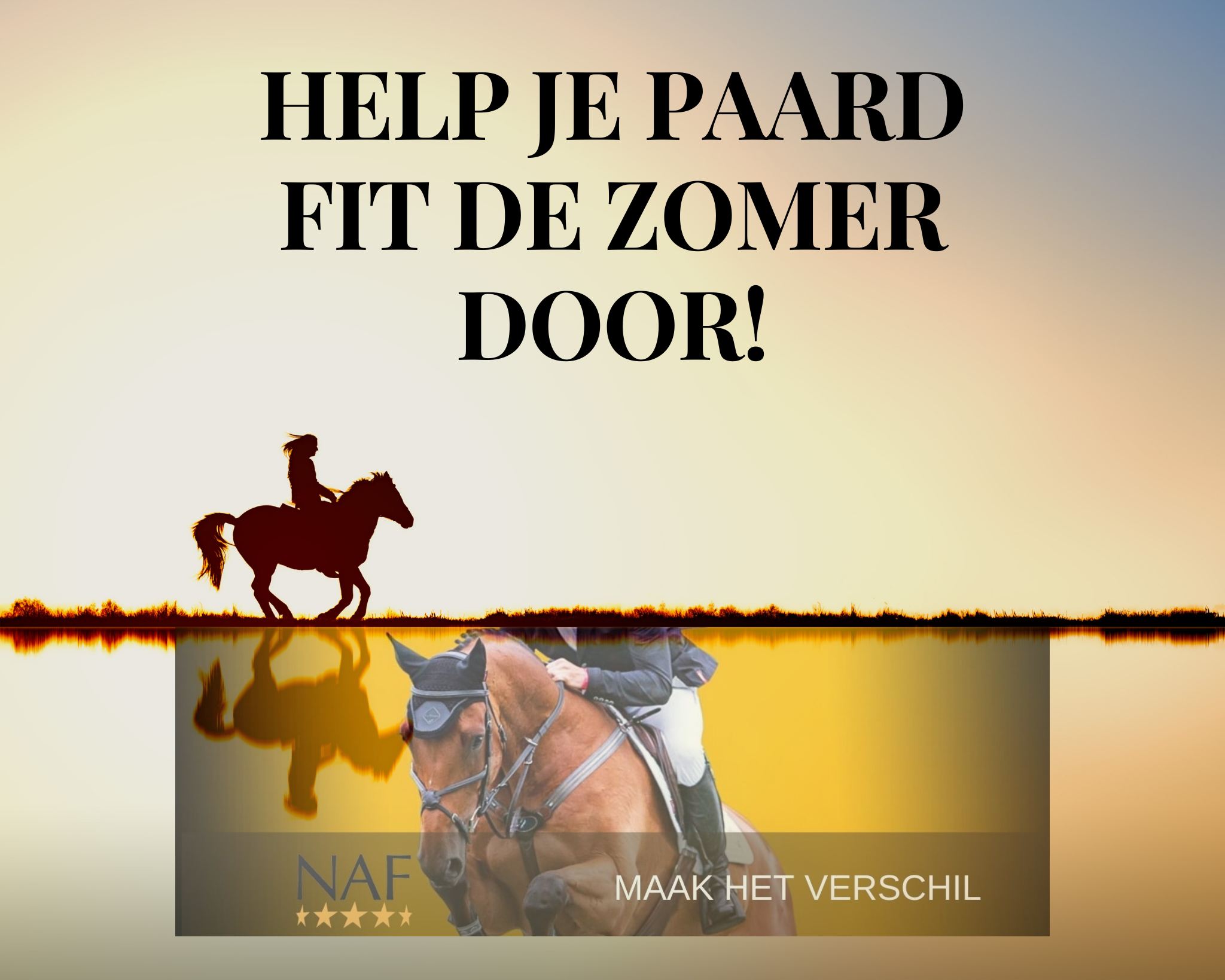 Help je paard fit de zomer door!