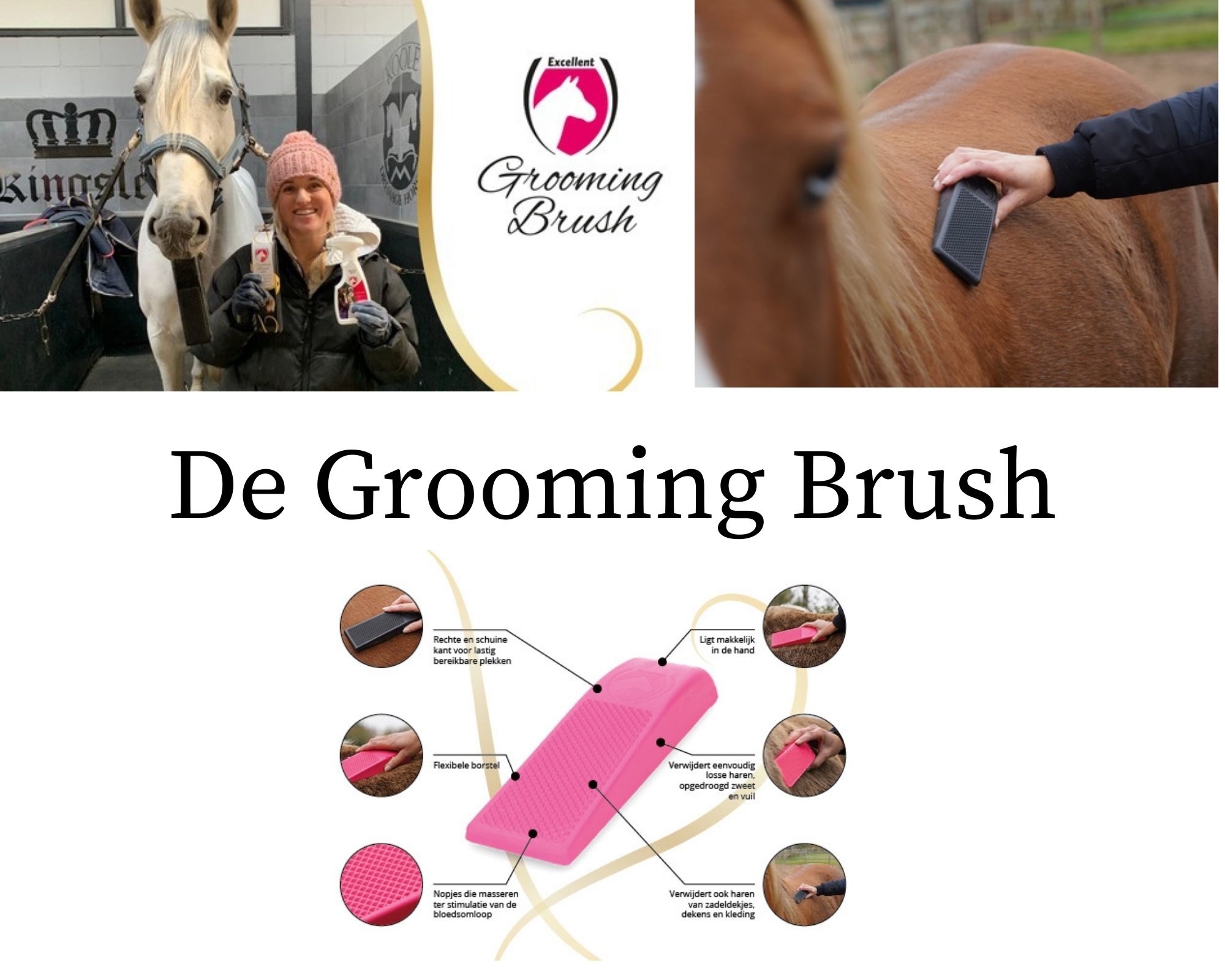 Grooming Brush Paardenpraattv