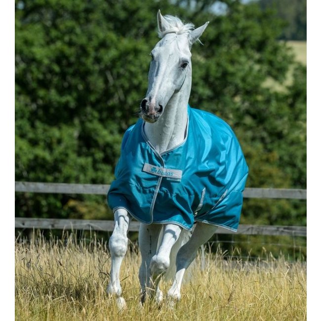 Bucas Bucas Freedom Turnout Light