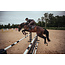 Equestrian Stockholm Equestrain stockholm Zadeldek Jump Dark Sky