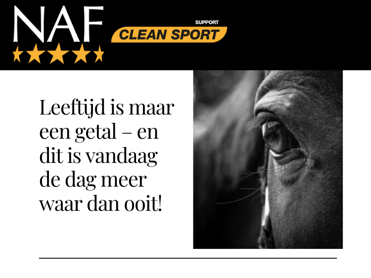 De gezondheid van het oudere paard