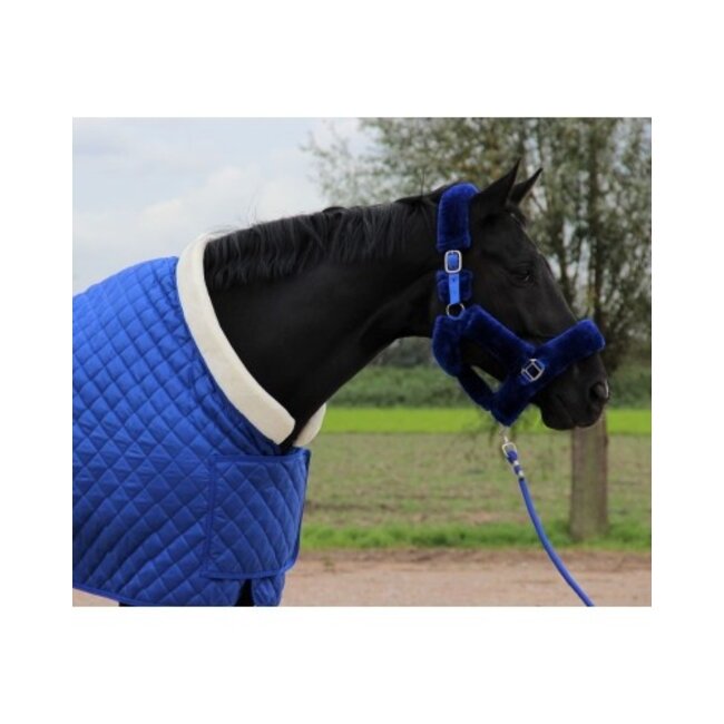 HB Ruitersport HB  Showtime Showdeken Desir