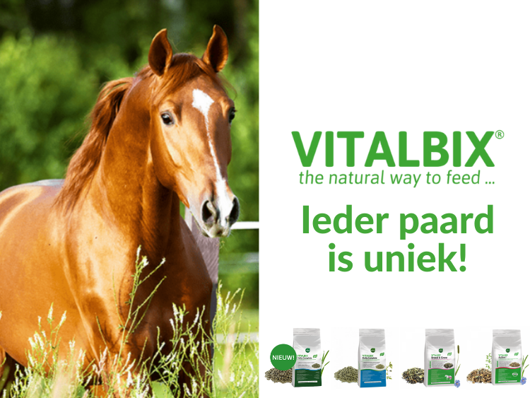 Waarom steeds meer paardeneigenaren kiezen voor Vitalbix