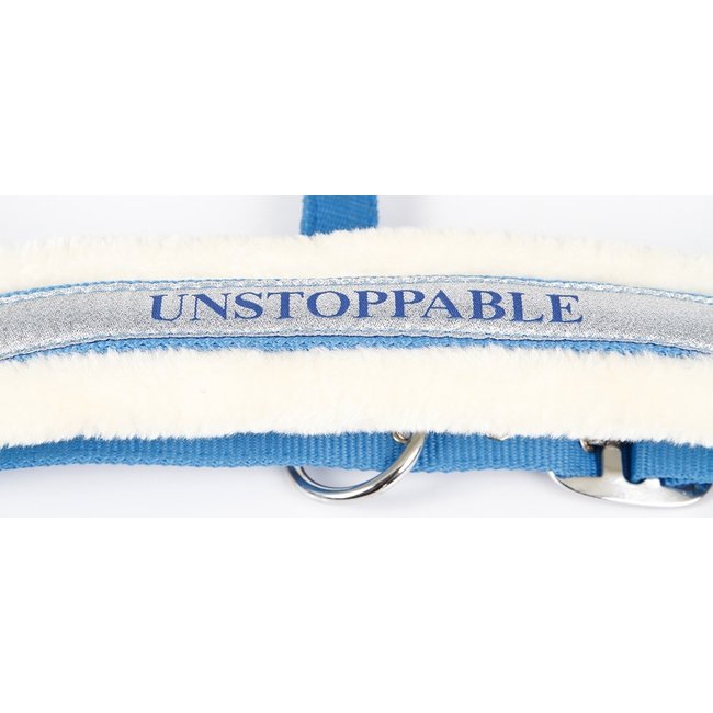 Harry's Horse Harry's Horse Halster Lyrics VI