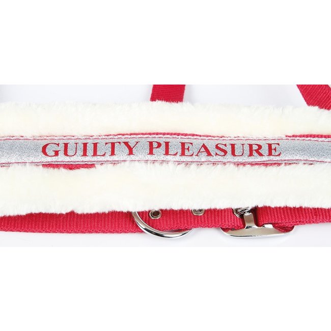 Harry's Horse Harry's Horse Halster Lyrics VI