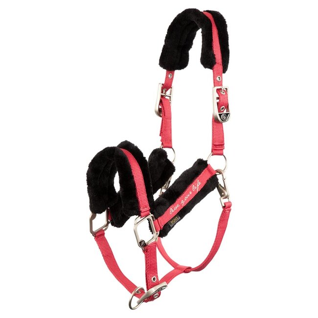 BR Halster 4-EH Samira