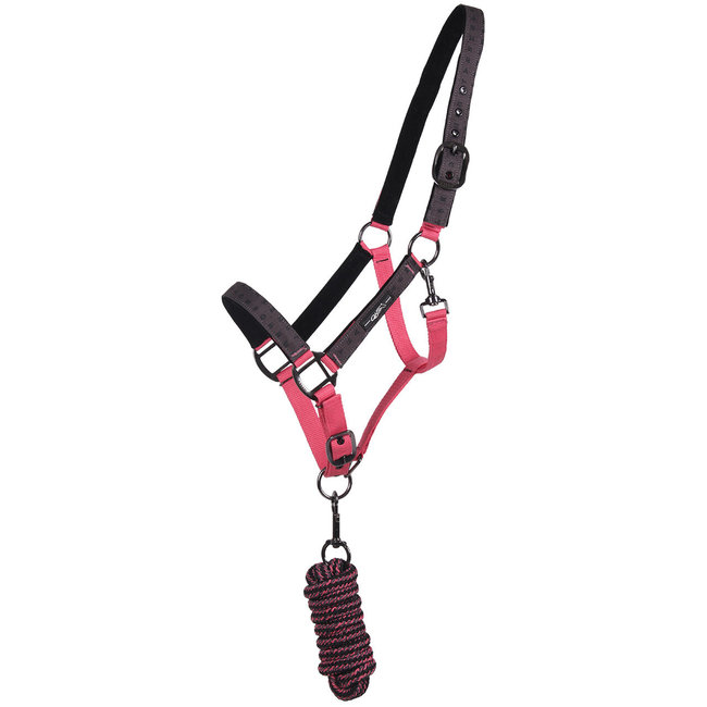 QHP QHP Halsterset  turnout collection