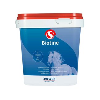 Sectolin Equivital Biotine