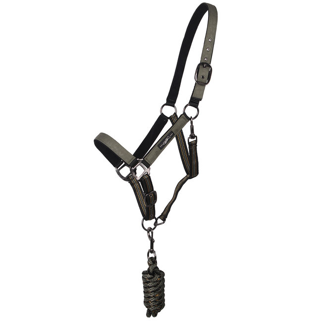 QHP QHP Halsterset met turnout collection 2022