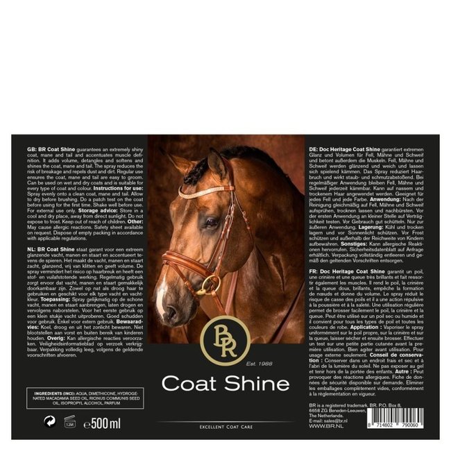 BR BR glansspray 500 ml