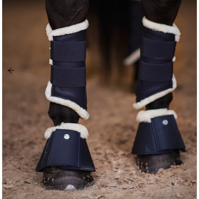 PS of Sweden PS of Sweden Springschoen