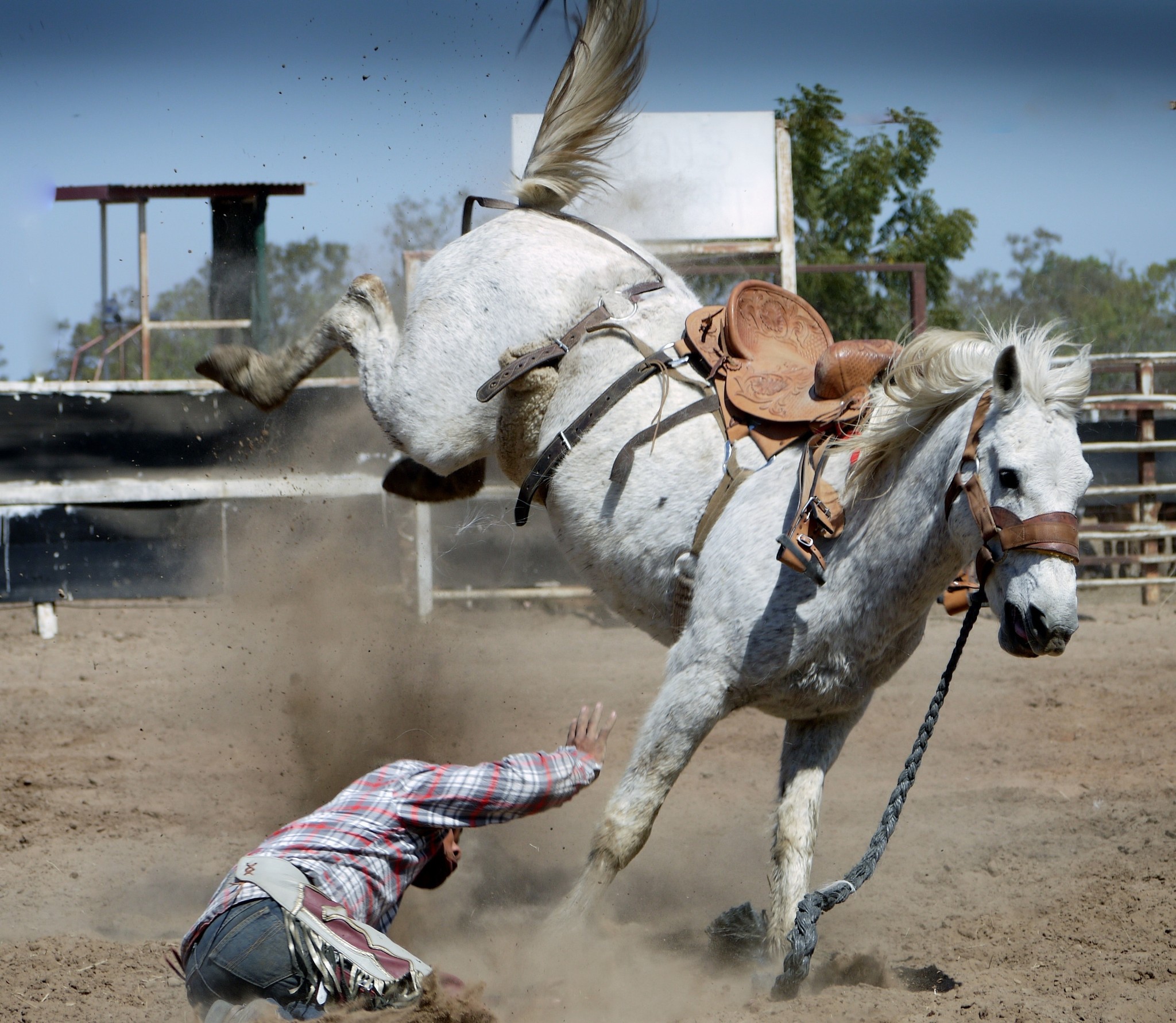 Veiligheid op het paard