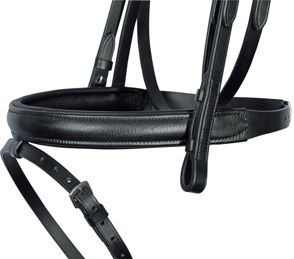 Anatomisch Hoofdstel Rosegoud Zwart Leer Harry's Horse Hoofdstel – Anatomisch Roségoud – Vol Zwart Leer – Met Stenen Hoofdstel Paard