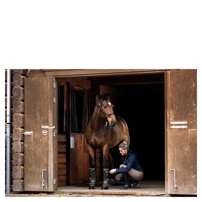 BR Stalbeschermers BR voor S Rosin