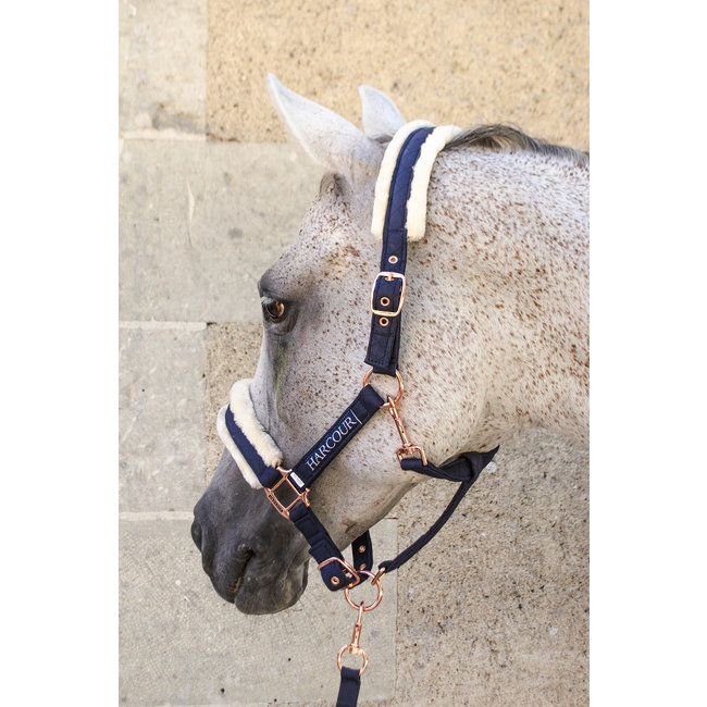 Harcour Holly Halter and Lead rope