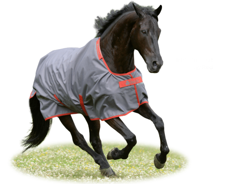 Bucas Foal Turnout main image 0