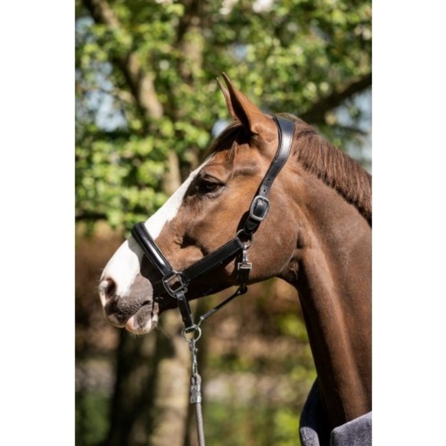 HB Ruitersport HB showtime halster glitty leer