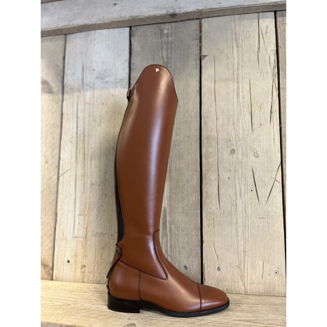 Petrie Petrie Palermo