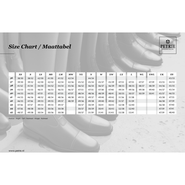 Petrie Petrie Palermo