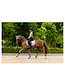 BR BR Peesbeschermers 4-EH Calvin Cob