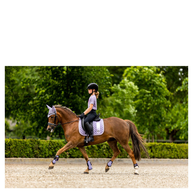 BR BR Strijklappen 4-EH Calvin