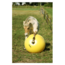 Hofman Animal Care Maximus Power Play Ball 100cm