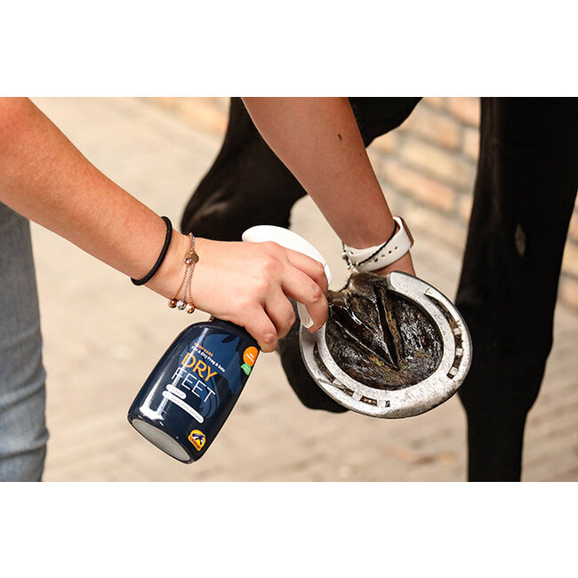 Cavalor Cavalor Dry Feet natural 250ML