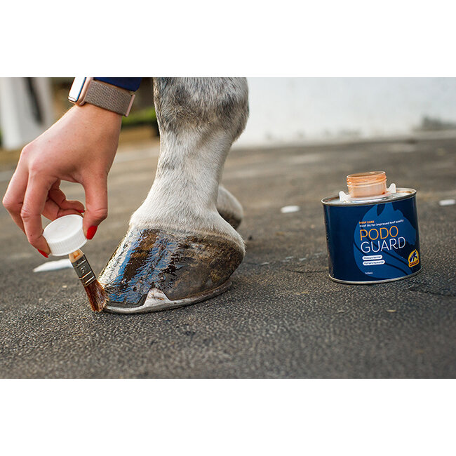 Cavalor Cavalor PodoGuard hoef oil special 500ML