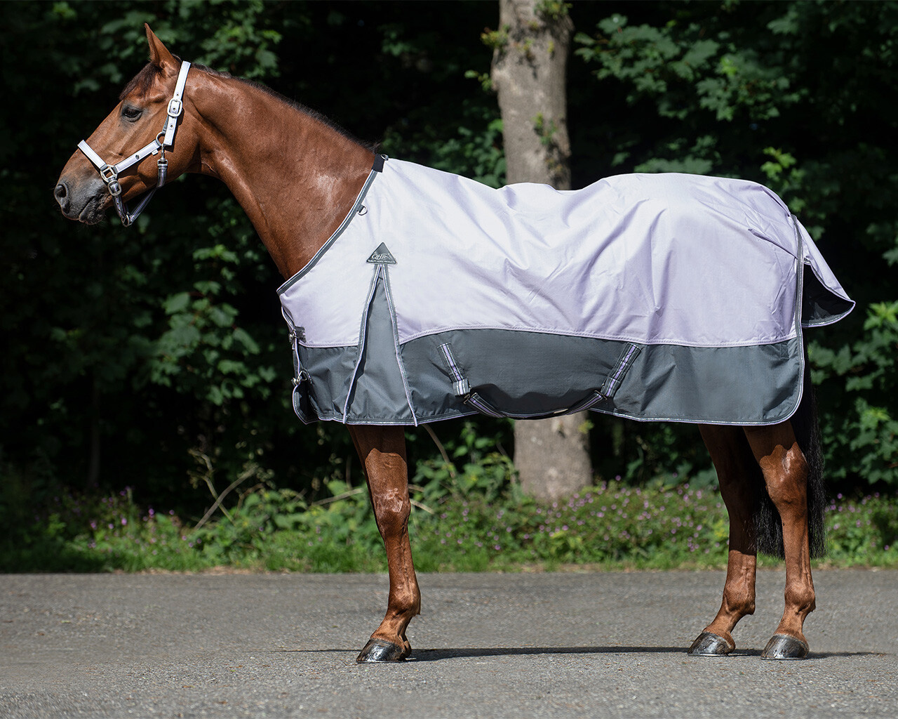 Acquista Equithème Coperta Turnout "tyrex 1200 D" Con Collo Alto