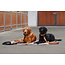 Eskadron ESKADRON DOG SET FAUX LEATHER Platinum